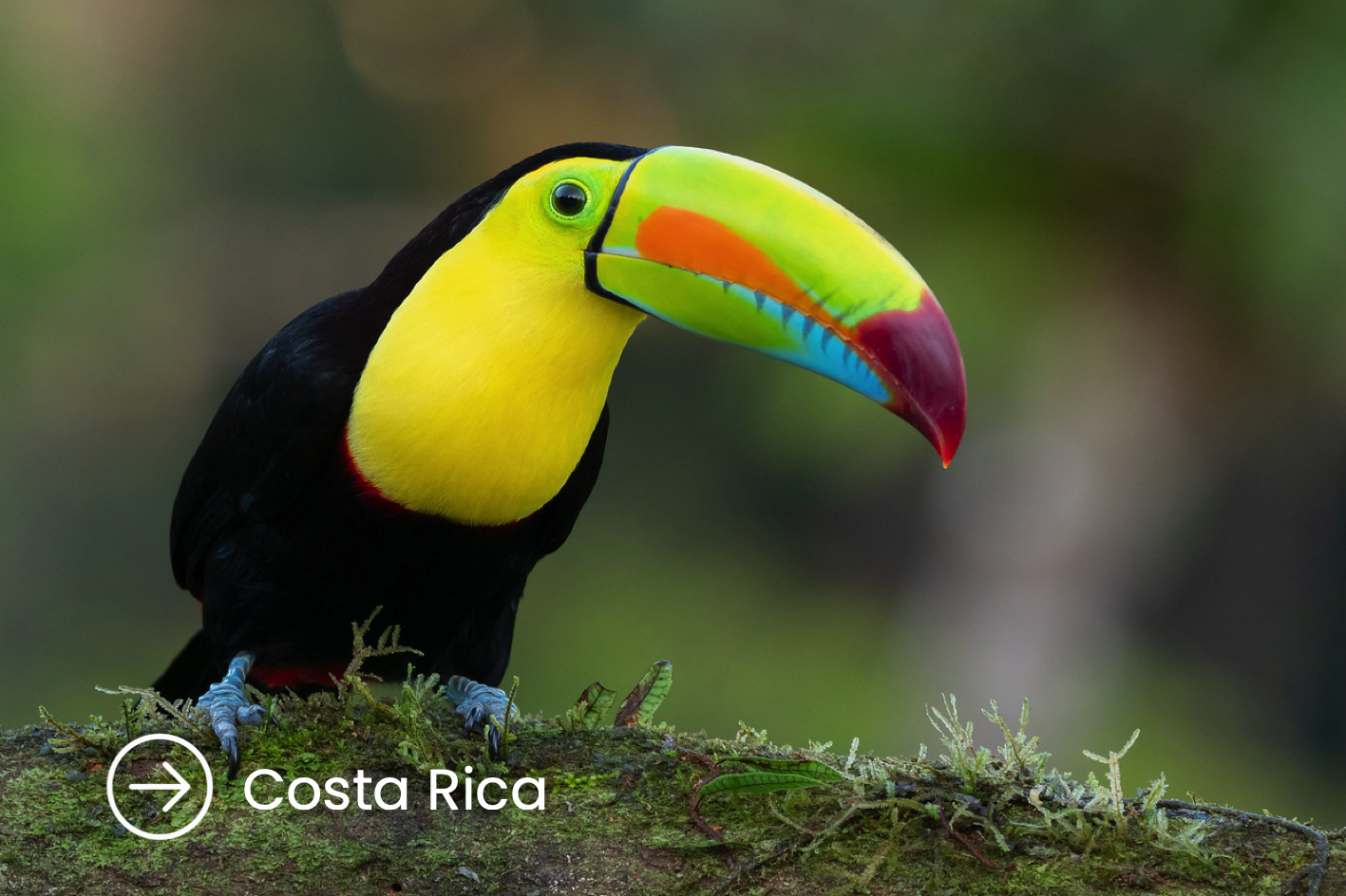 Costa Rica