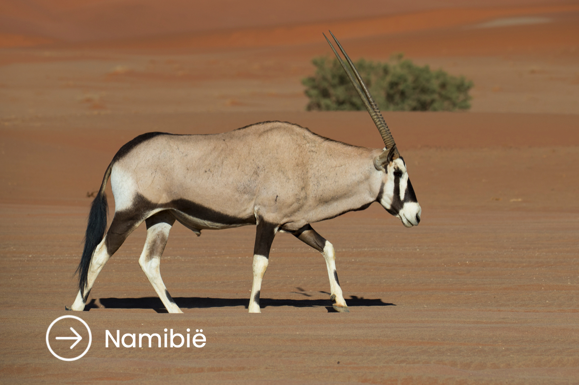 Namibie